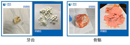 冷凍骨骼牙齒粉碎儀研磨實驗案例效果圖